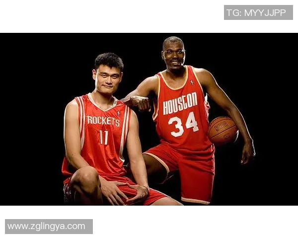 仙人指点姚明助力篮球梦想成真开启传奇人生新篇章